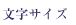 文字サイズ