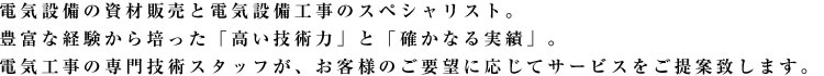 電気設備の資材販売と電気設備工事のスペシャリスト。豊富な経験から培った「高い技術力」と「確かなる実績」。電気工事の専門技術スタッフが、お客様のご要望に応じてサービスをご提案いたします。